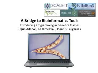 A Bridge to Bioinformatics Tools Introducing Programming in Genetics Classes