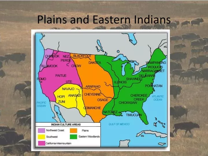 plains and eastern indians