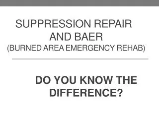 Suppression REPAIR and BAER (burned Area Emergency Rehab)