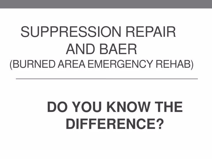 suppression repair and baer burned area emergency rehab