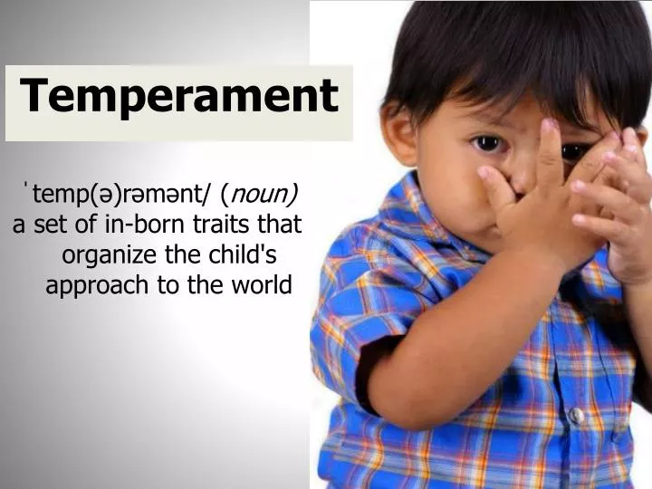 temp r m nt noun a set of in born traits that organize the child s approach to the world