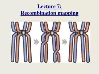 Lecture 7: Recombination mapping