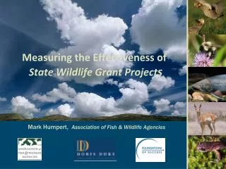 Measuring the Effectiveness of State Wildlife Grant Project s