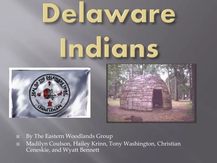 delaware indians