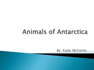 Animals of Antarctica