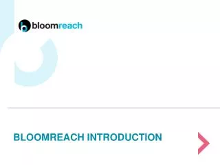 BloomReach Introduction