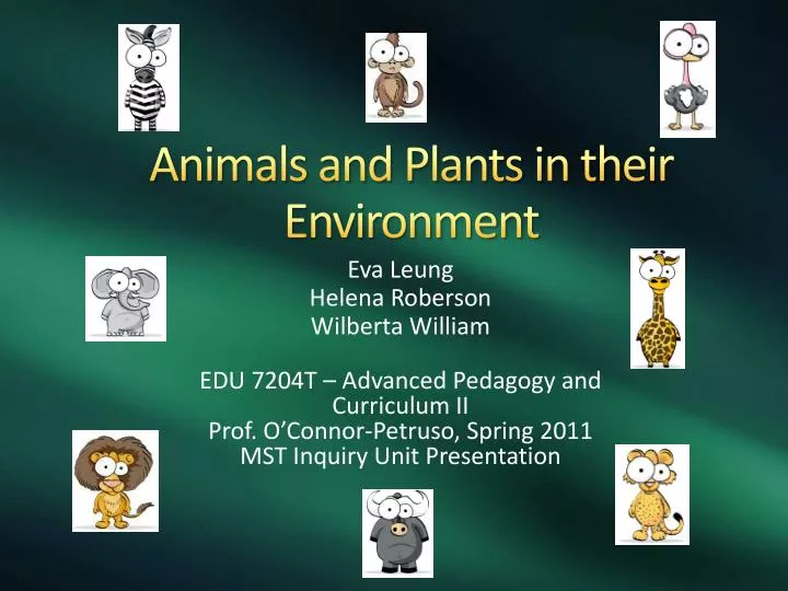 animals and plants in their environment