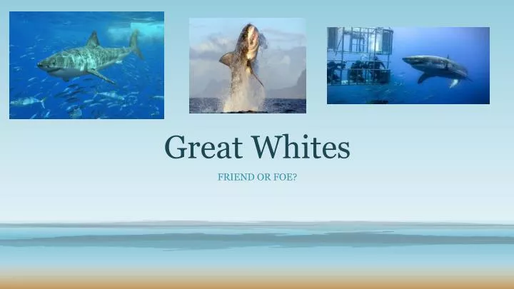 great whites