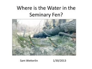 Where is the Water in the Seminary Fen?