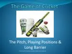 The Game of Cricket