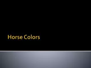 Horse Colors