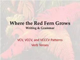 Where the Red Fern Grows Writing &amp; Grammar