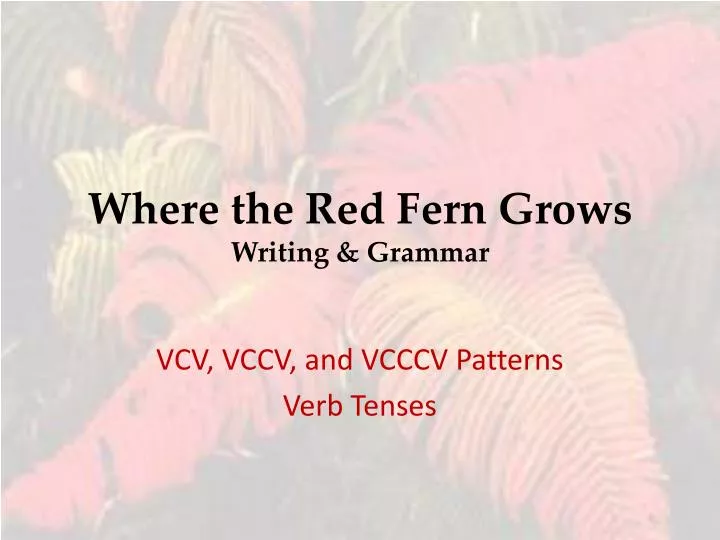 where the red fern grows writing grammar