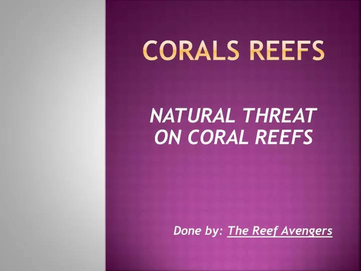 corals reefs