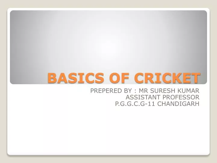 basics of cricket