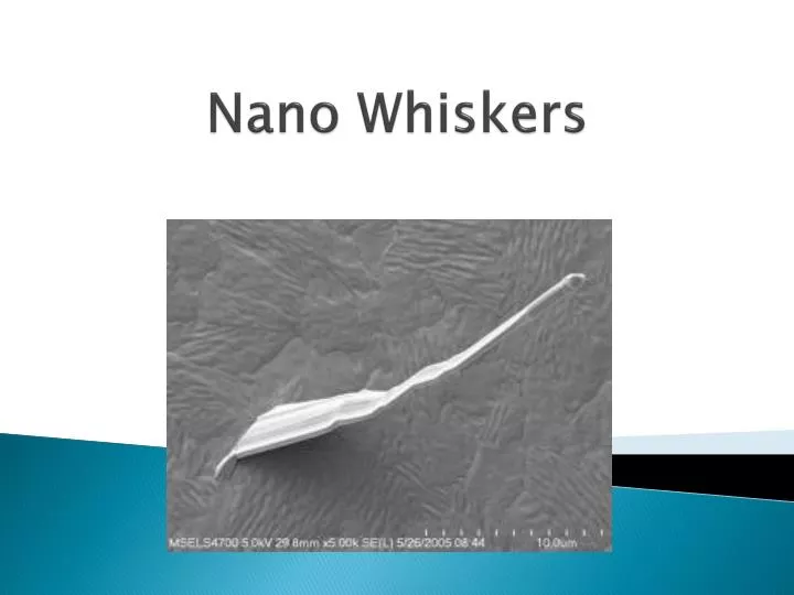 nano whiskers