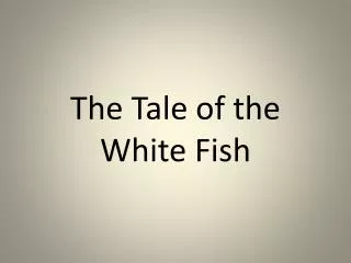 The Tale of the White Fish