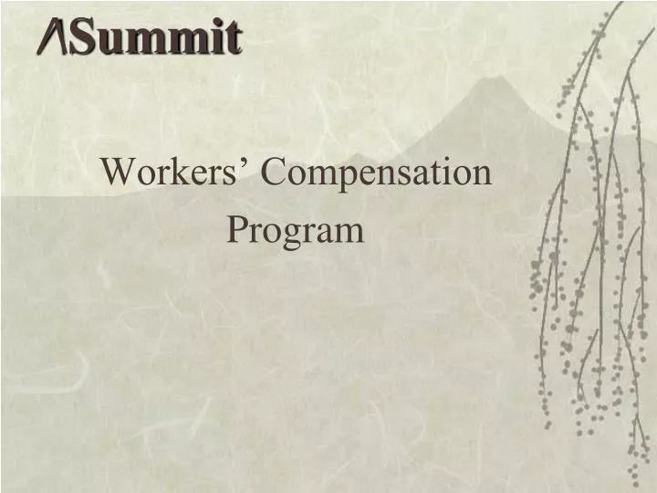 workers compensation program