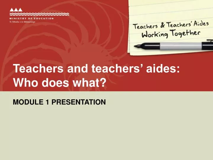 teachers and teachers aides who does what