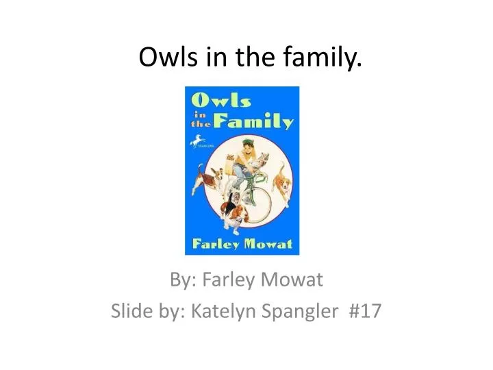 owls in the family