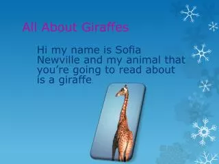 All About Giraffes