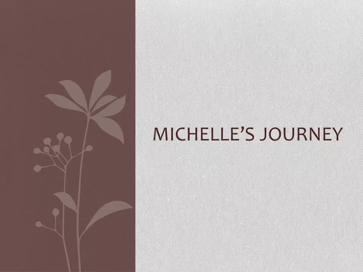 michelle s journey