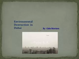 Environmental Destruction in Dubai