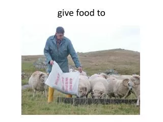 give food to