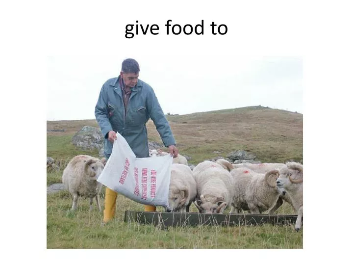 give food to