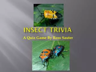 Insect Trivia