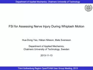 FSI for Assessing Nerve Injury During Whiplash Motion
