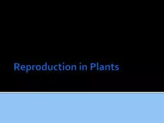 reproduction in plants