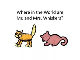 Where in the World are Mr. and Mrs. Whiskers?