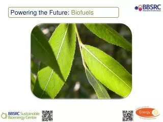 Powering the Future: Biofuels