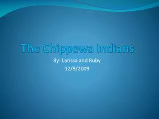 The Chippewa Indians