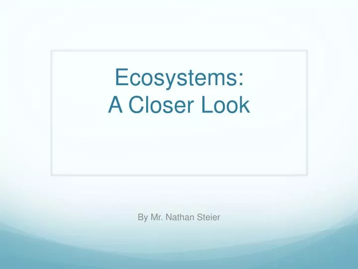 ecosystems a closer look