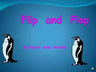 Flip and Flop