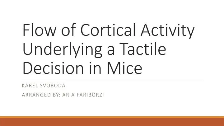 flow of cortical activity underlying a tactile decision in mice