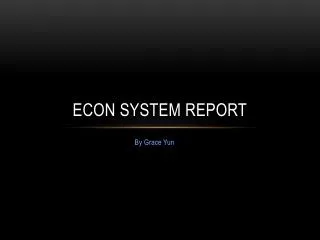 Econ System Report