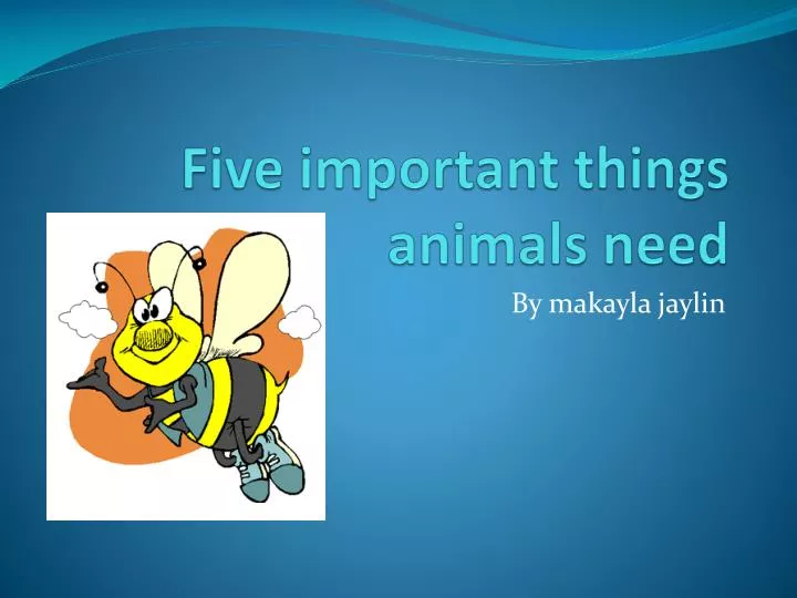 five important things animals need