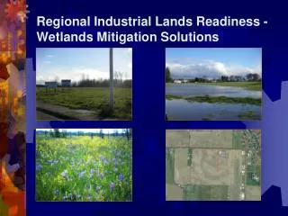 Regional Industrial Lands Readiness - Wetlands Mitigation Solutions