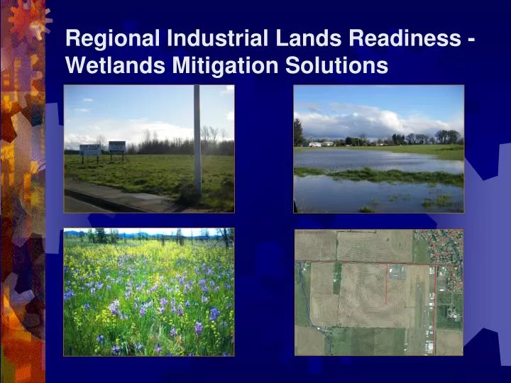 regional industrial lands readiness wetlands mitigation solutions
