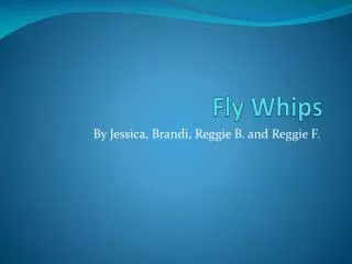 Fly Whips