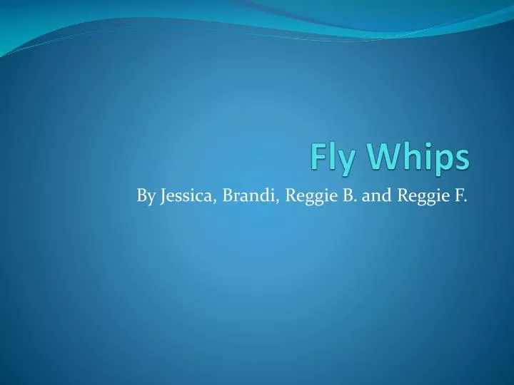 fly whips