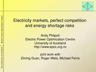 Electricity markets, perfect competition and energy shortage risks