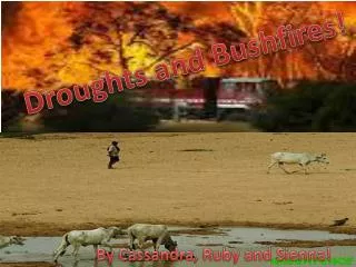 Droughts and Bushfires!