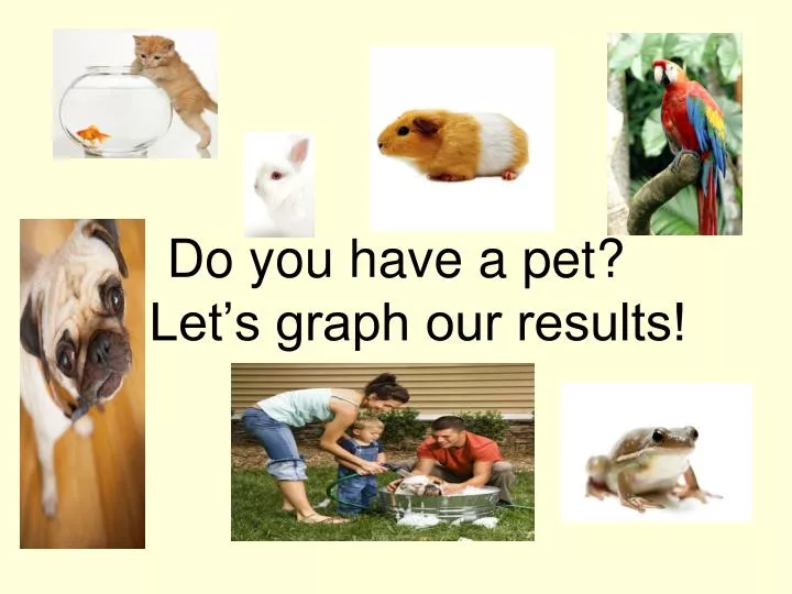 do you have a pet let s graph our results