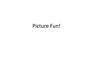 picture fun