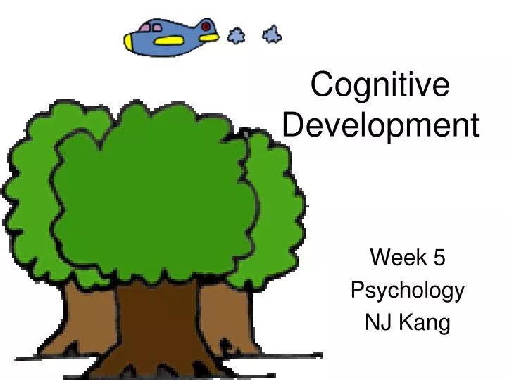 cognitive development