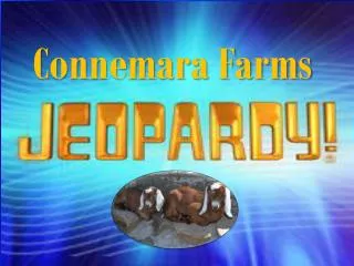 Connemara Farms